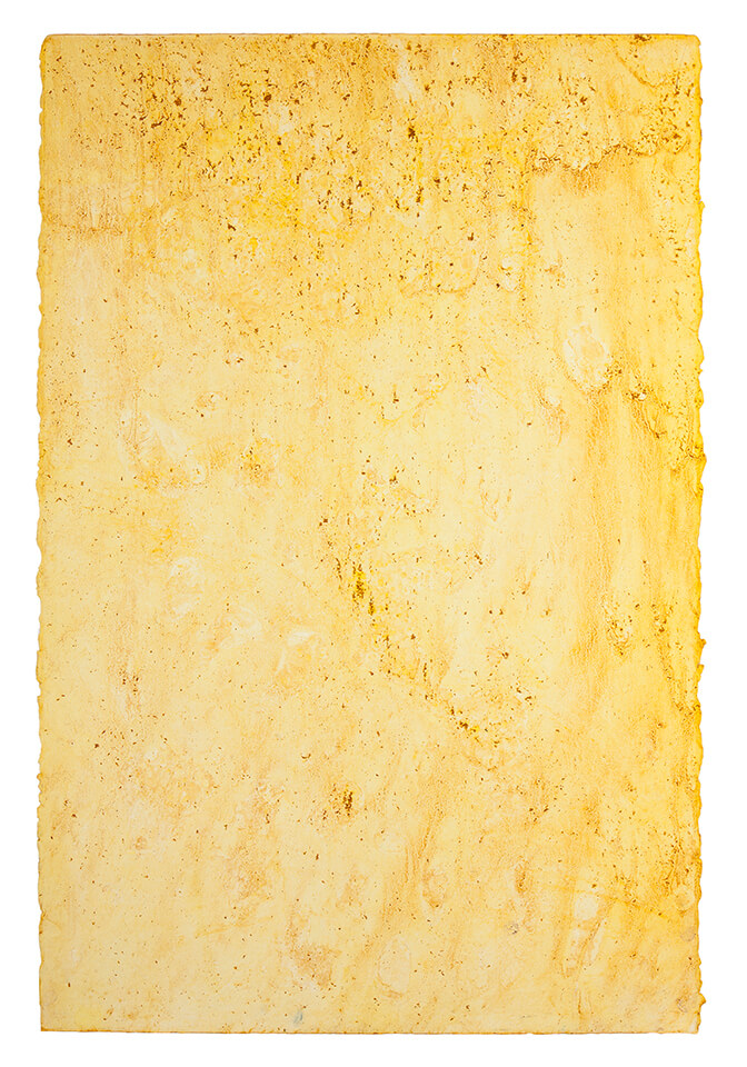 curcuma papel 01.jpg